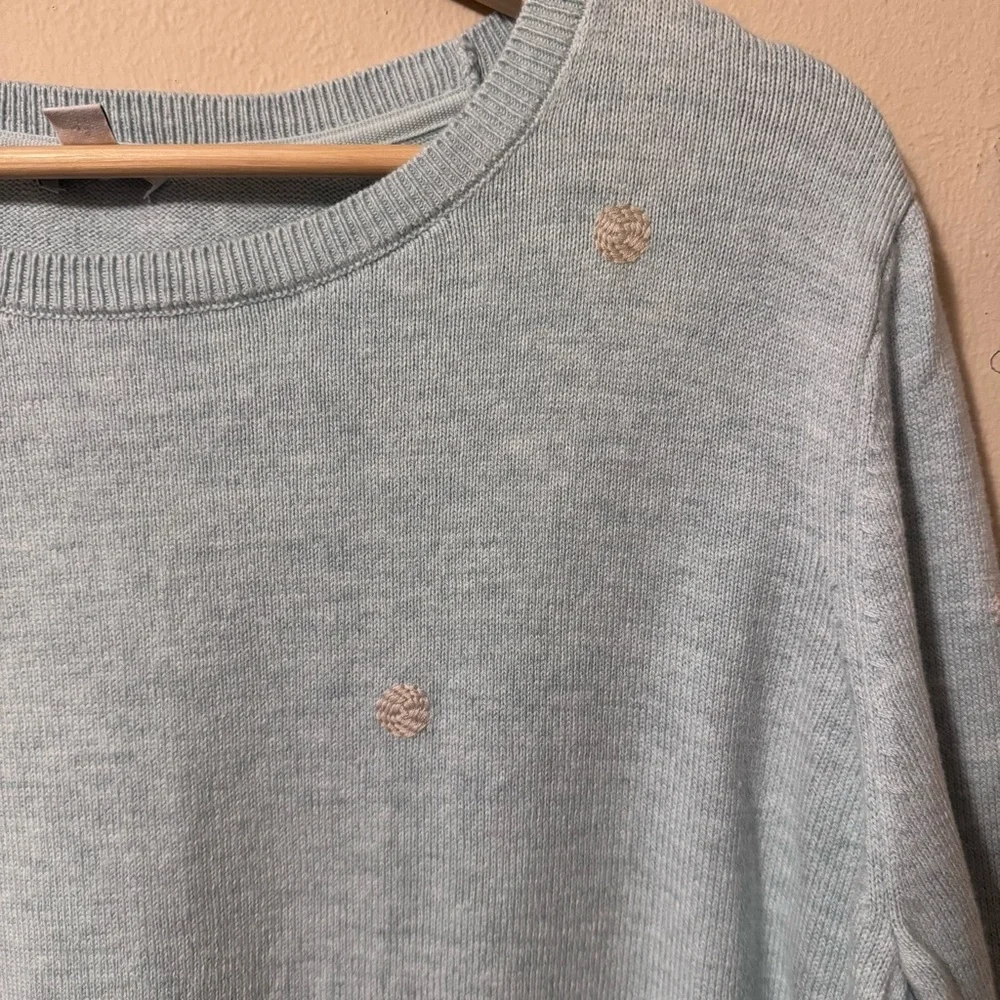 J. Jill baby blue sweater with embroidered pattern Size Large